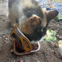 photo de livraison pour Boules d'amour