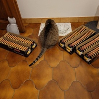 photo de livraison pour Chats La La de Valreas