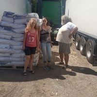 photo de livraison pour For the Strays - Paws of Greece