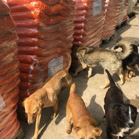 photo de livraison pour Saving Orphaned Souls Sheila's Animal Rescue Mission