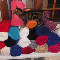 photo de livraison pour Protection Animale de Lunel