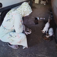 photo de livraison pour Hajar Aourz
