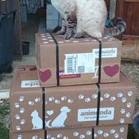 photo de livraison pour Ecole du Chat Libre de Caillerot