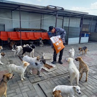 photo de livraison pour Associtia Axi Hope Romania