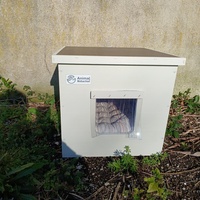 photo de livraison pour Matous du Patelin