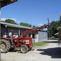 photo de livraison pour Cheval Espoir 33