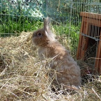 photo de livraison pour La Ferme de Doudou