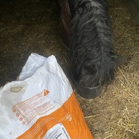 photo de livraison pour Espoir au Galop