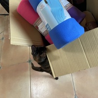 photo de livraison pour Les Chats de Condom 32