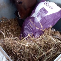photo de livraison pour Equi-Libre : Droit à la Retraite Equine