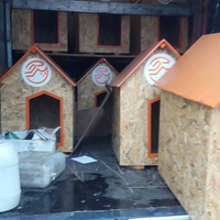 photo de livraison pour Refuge pour chiens de Baia Mare