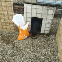photo de livraison pour Innocente