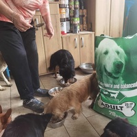 photo de livraison pour ПРИХВАТИЛИШТЕ ДРАЖЕВАЦ