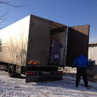 photo de livraison pour Alina & Anda