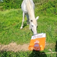 photo de livraison pour Equi-Libre : Droit à la Retraite Equine
