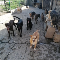 photo de livraison pour Ivana Nikolić