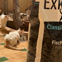 photo de livraison pour Le Coeur sur la Patte