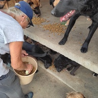 photo de livraison pour Društvo za zaštitu životinja "Bela"