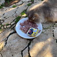 photo de livraison pour Dans les yeux de Leo