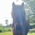 photo animal