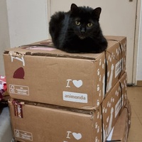 photo de livraison pour Chats Libres des Hauts Cantons de l'Hérault