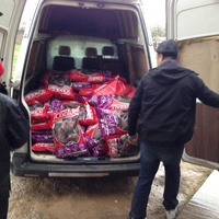 photo de livraison pour Viata Animalelor