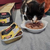 photo de livraison pour Stérilcat 80