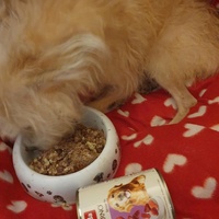 photo de livraison pour AVRAH