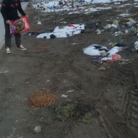 photo de livraison pour Civic Initiative Kane Korzo Skopje