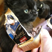 photo de livraison pour Jardin des Chats