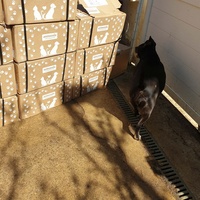 photo de livraison pour AVRAH