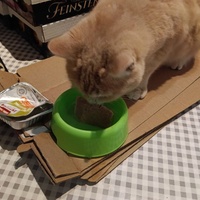 photo de livraison pour Cat Miaou