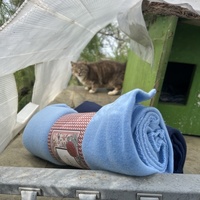 photo de livraison pour Les chats Port-Saint-Louisiens
