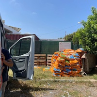photo de livraison pour Comme Chiens et Chats Maroc
