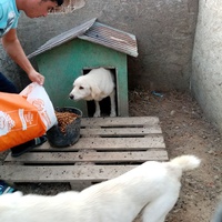 photo de livraison pour Daniela Elena Sandoiu