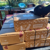 photo de livraison pour Les Pattounes de l'Espoir