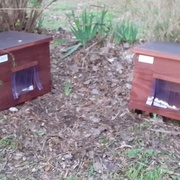 photo de livraison pour Contrôle & Protection des Chats Andréens