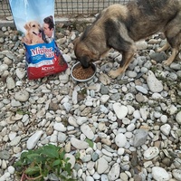 photo de livraison pour Sapa u srcu