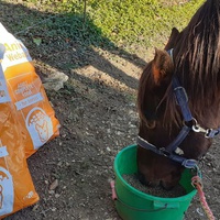photo de livraison pour Association hippique du Caroux