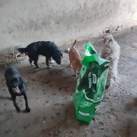 photo de livraison pour Ivana Nikolić
