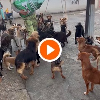 photo de livraison pour ПРИХВАТИЛИШТЕ ДРАЖЕВАЦ