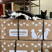 photo de livraison pour Association C.A.T.S. Chat Animal Terrien Solidarité