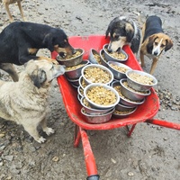 photo de livraison pour Svetlana Bjelogrlic