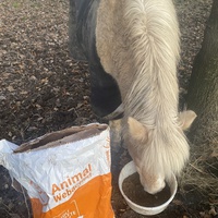 photo de livraison pour Espoir au Galop