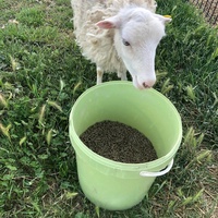 photo de livraison pour La Ferme des Zanimobiles