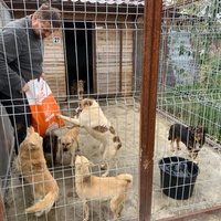 photo de livraison pour Happy Tails Animal Rescue