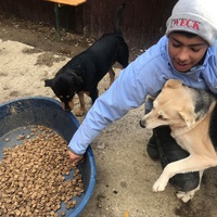 photo de livraison pour Saving Orphaned Souls Sheila's Animal Rescue Mission
