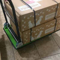 photo de livraison pour Protect Cat