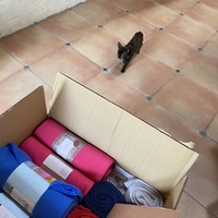 photo de livraison pour Les Chats de Condom 32