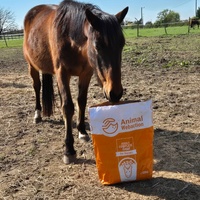 photo de livraison pour Arche et Relais